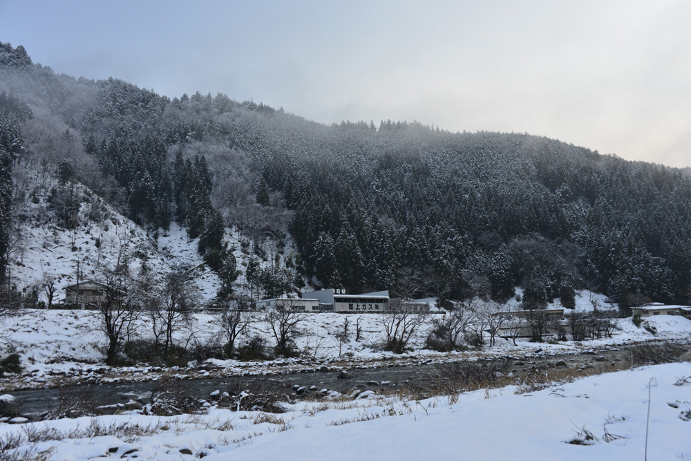 �����̉͌��ŎB���Ă܂�